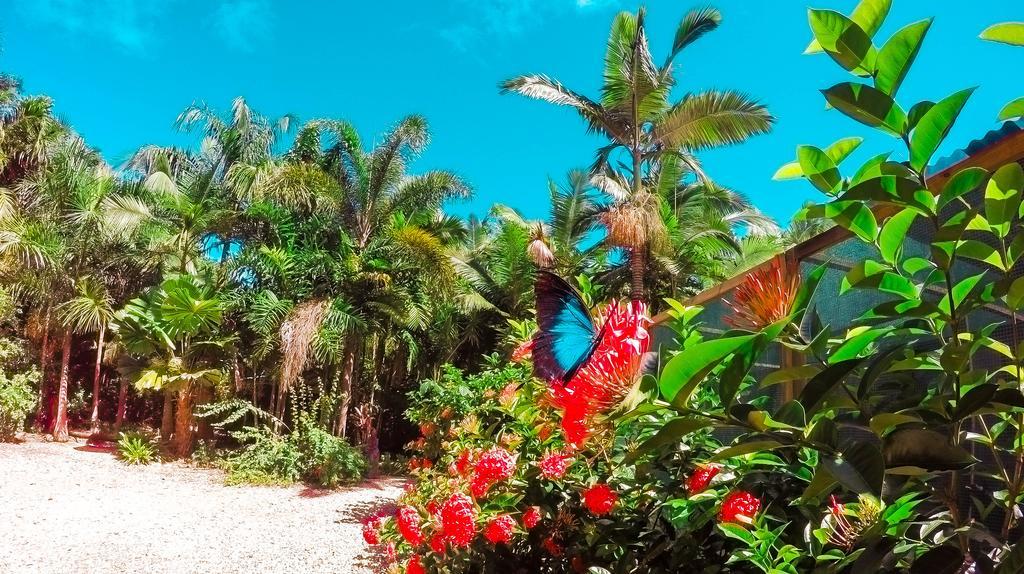 Boutique Bungalows Mission Beach Luaran gambar